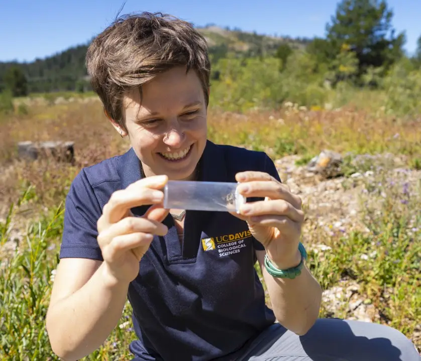 Dr. Felicity Muth – Cognition in Wild Bumblebees