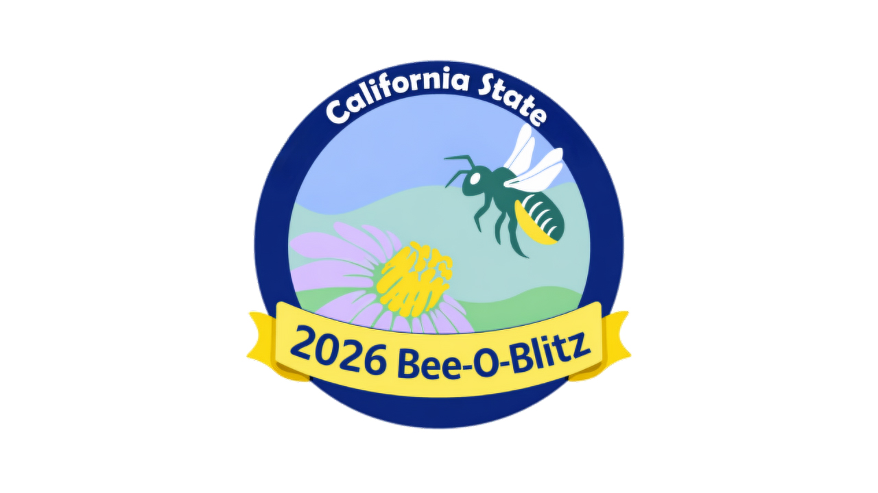 Bee-o-Blitz California logo