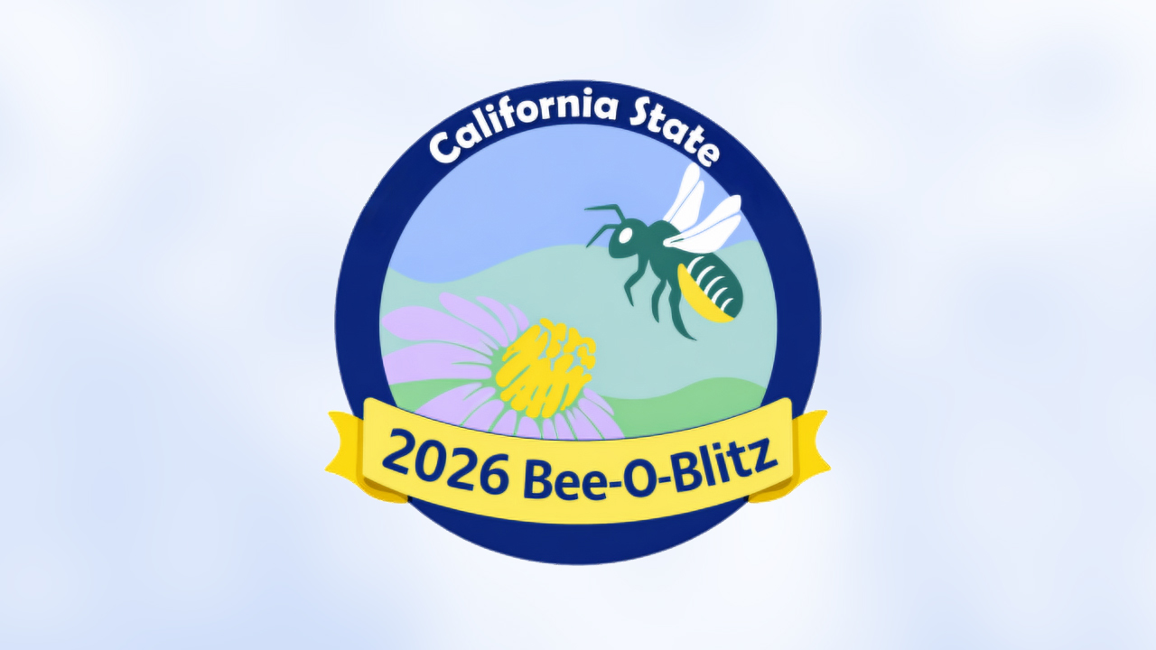 bee-o-blitz california logo