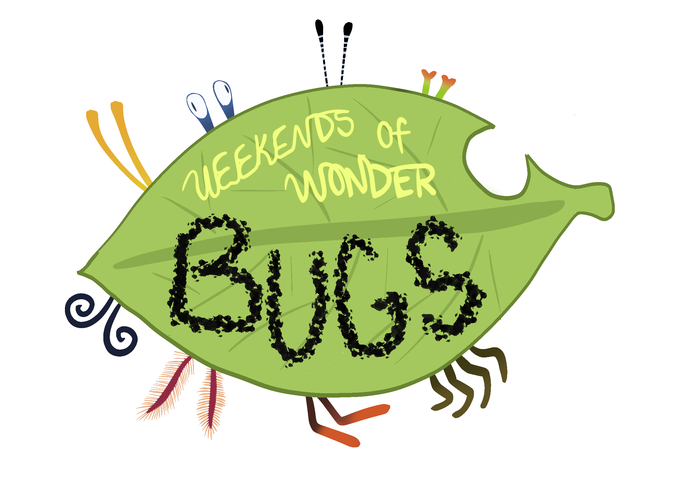 Weekend of Wonder: Bugs